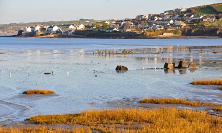 Appledore