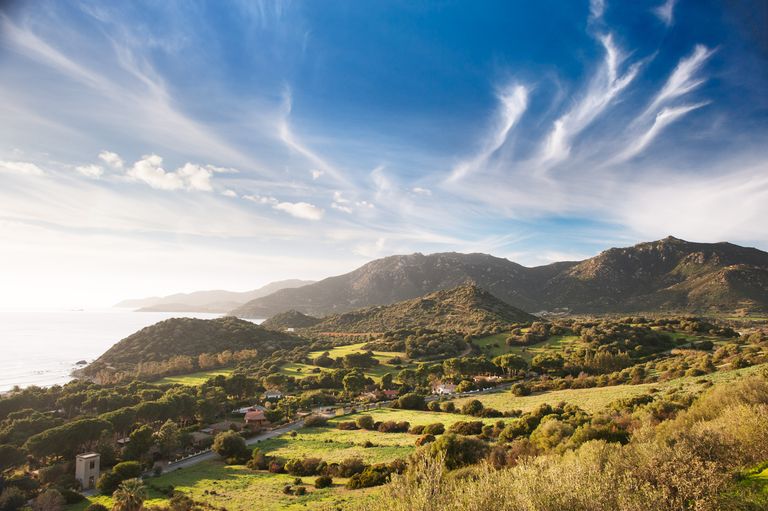 A scene of fields and hills beside the coast in Dorset, England