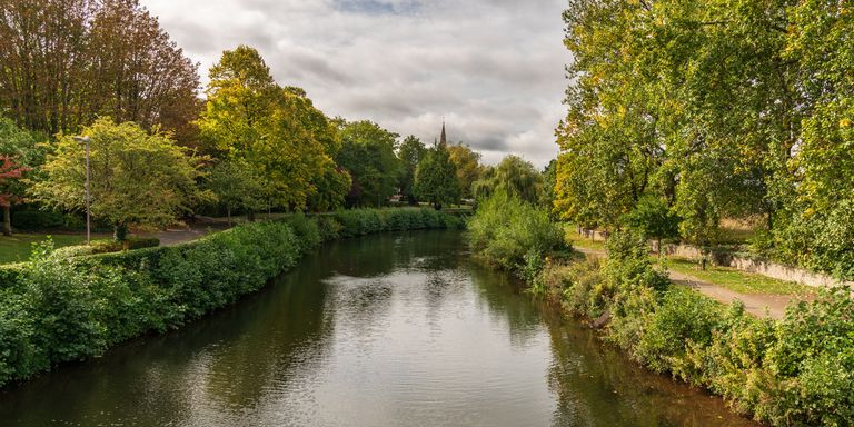 Taunton