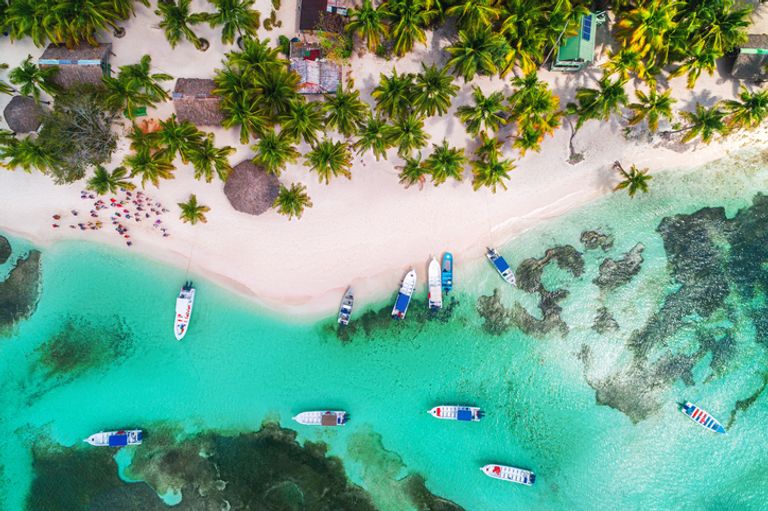 Aerial View Of Tropical Beach. Saona Island, Dominican Republic