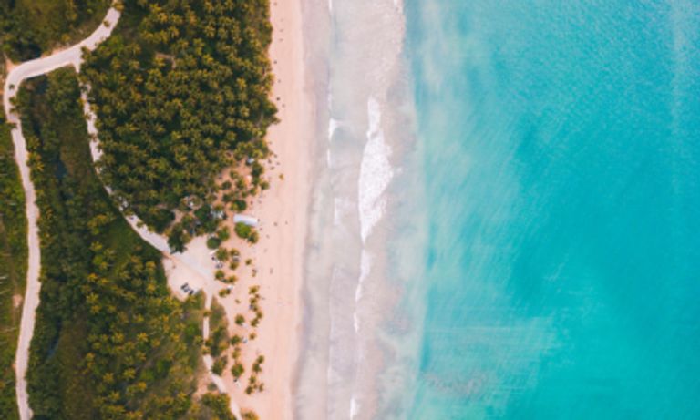 Aerial view of Playa Coson