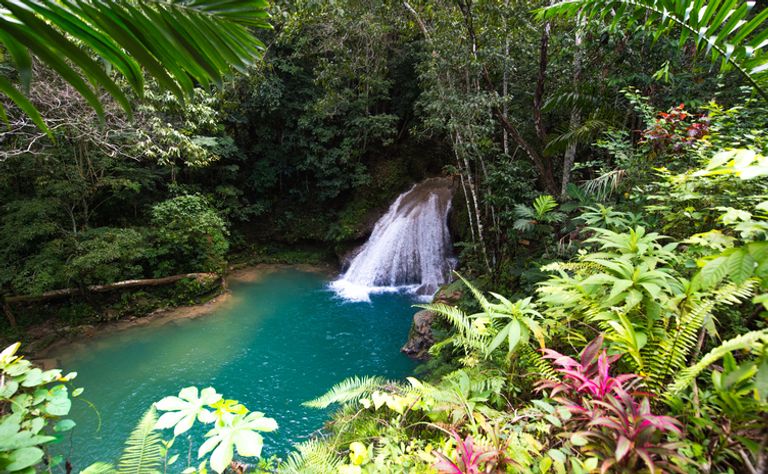 Waterfall Of The Blue Hole, Jamaica