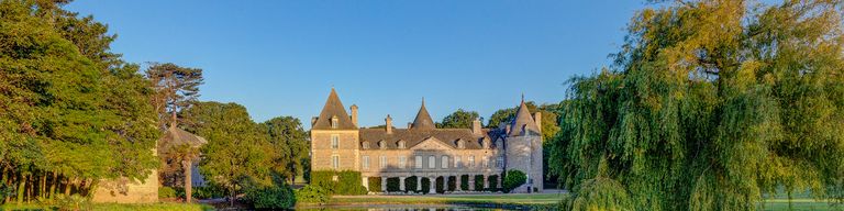 Chateaux surrounding by trees and blue sky