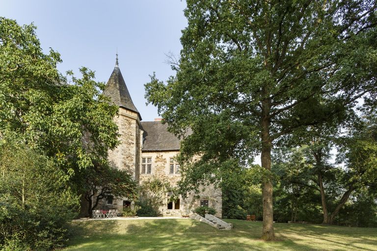 Chateau appearing through trees