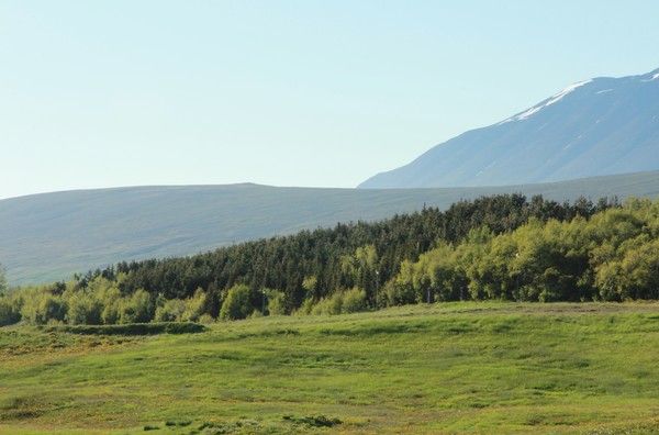 View pf the countryside