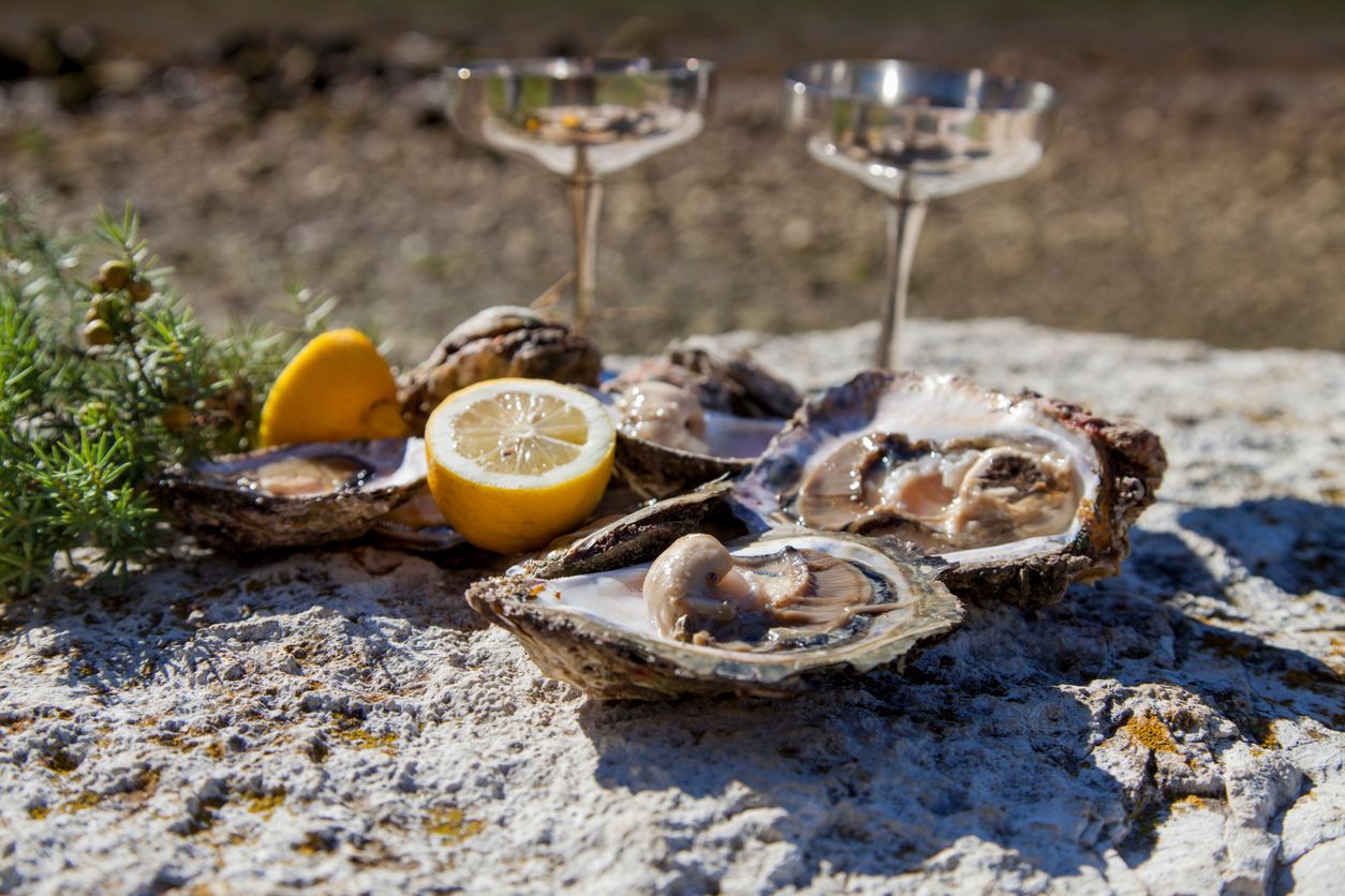 Istrian food and wineries - oysters