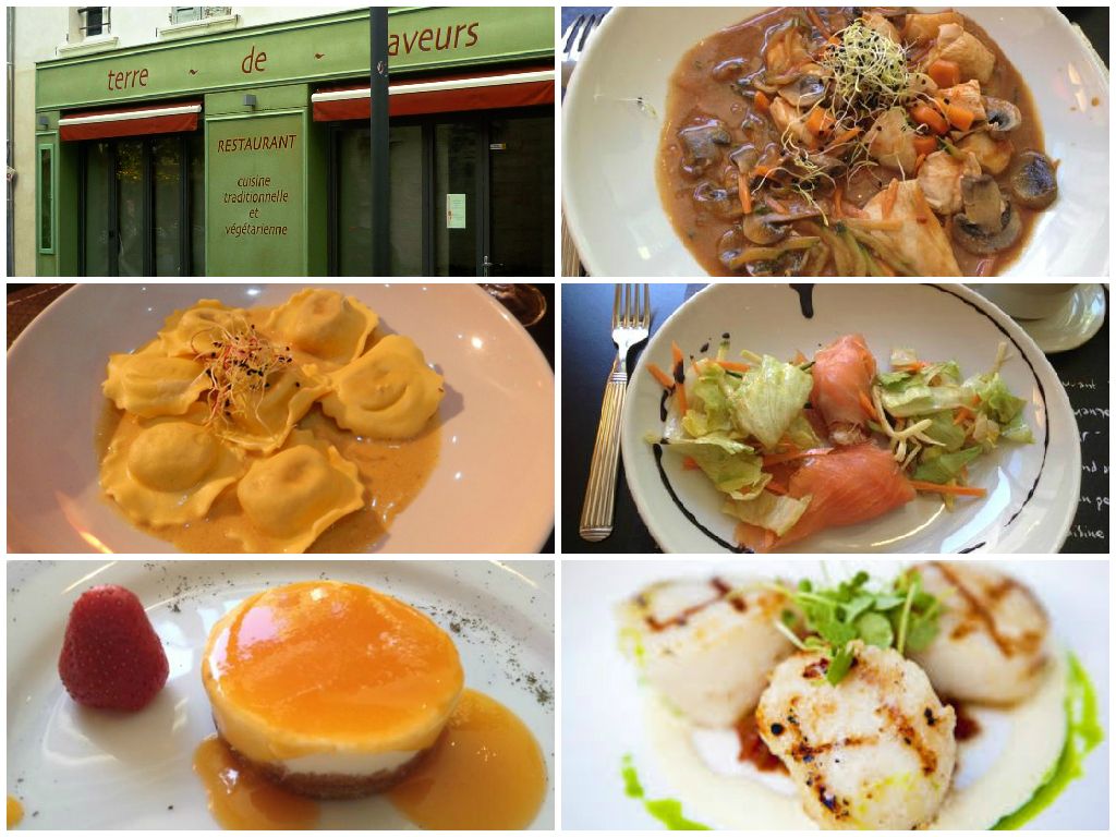 Terre de Saveurs - Avignon, France 