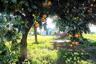 Cortijo Viejo - Andalusia - Villas to rent in Spain - Oliver's Travels jpg