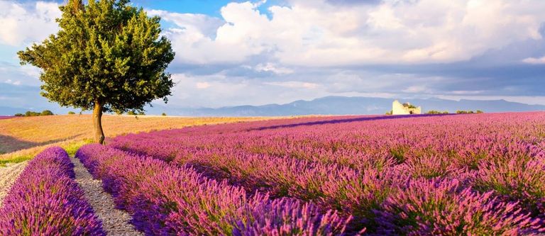 The 7 Best Places to Visit in Provence in Summer