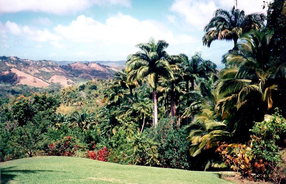  Flower Forest - Brabados villas - Oliver's Travels