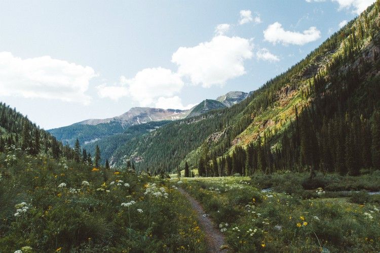 Summer Chalets | Oliver's Travels The Alps in summer