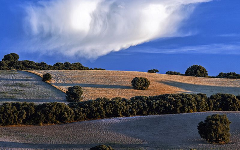 Andalusian Countryside