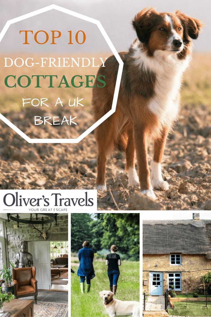 Love going on holiday but hate leaving your pooch behind? Why not just take Fido with you? Here are 10 of our favourite dog-friendly cottages in the UK.