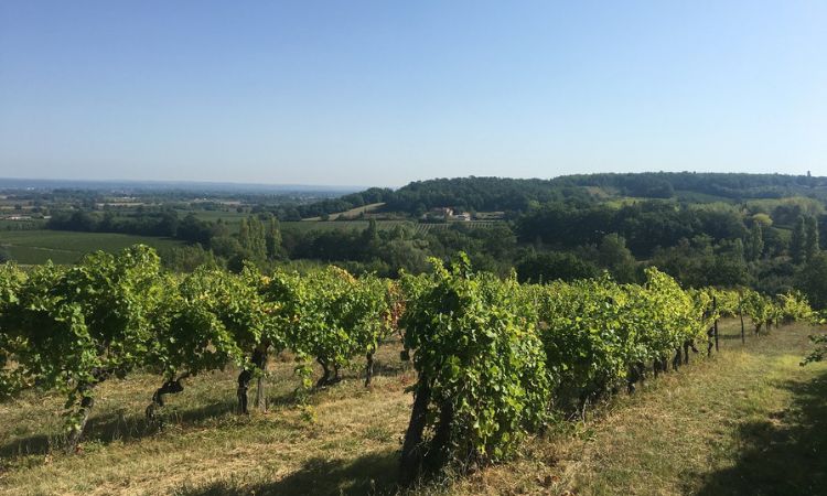chateau feely
