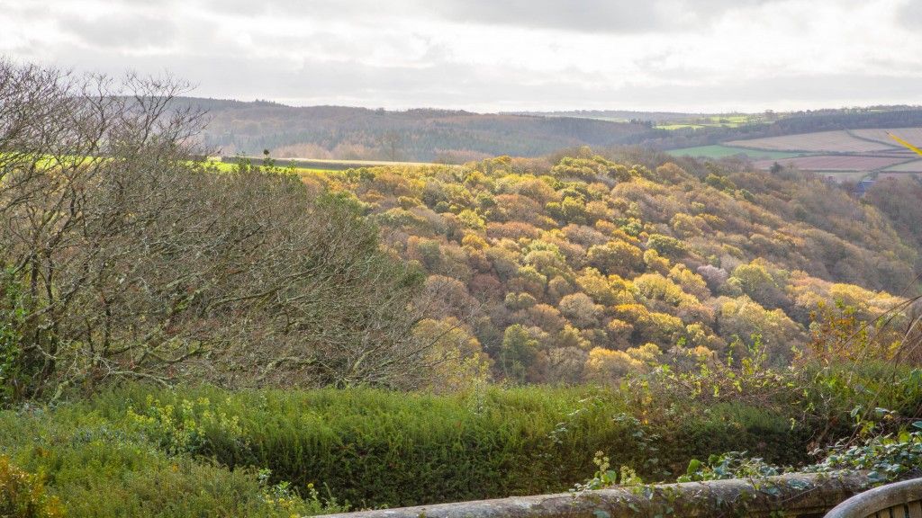 View over Devon from the terrace