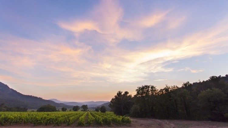 winery france