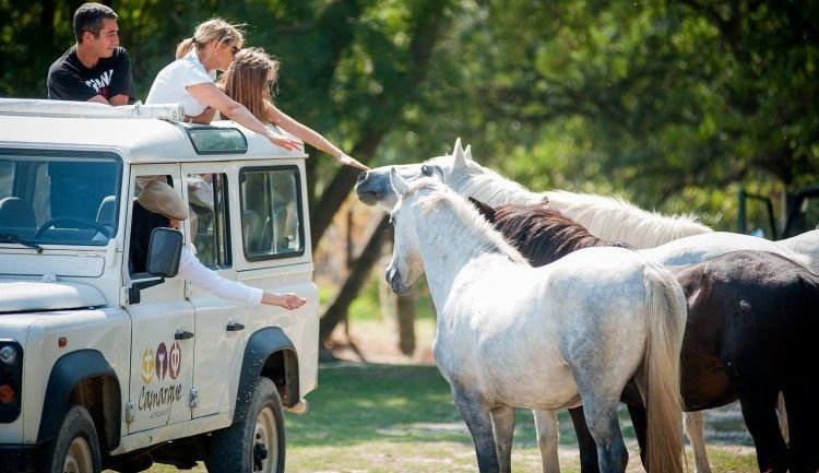 Ride in a 4x4 with Camargue Autrement