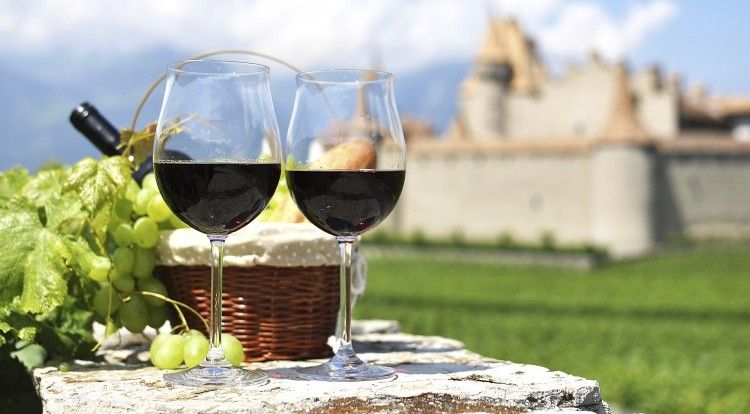Red wine and grapes against an old castle.