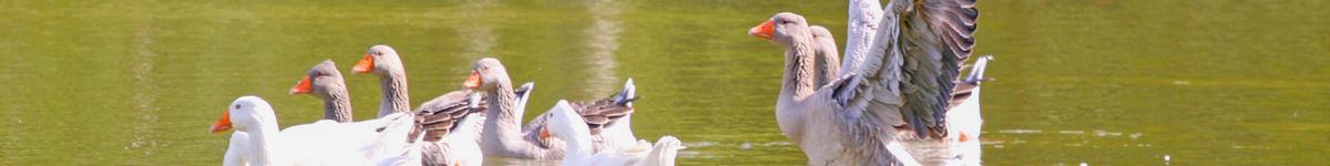 Loire Valley Travel Guide by Oliver's Travels 