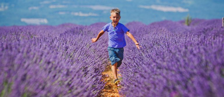 Best Family Activities in Provence-Alpes-Côte d'Azur