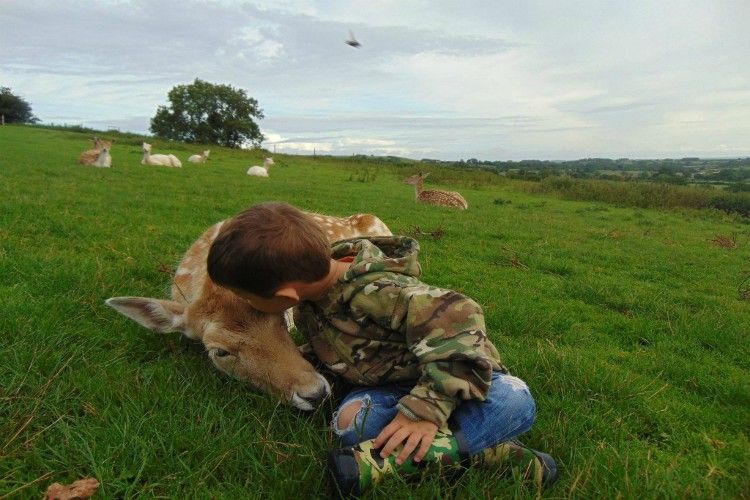 Family holiday activities in Somerset