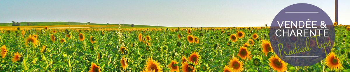 Vendee & Charente Travel Guide - Oliver's Travels