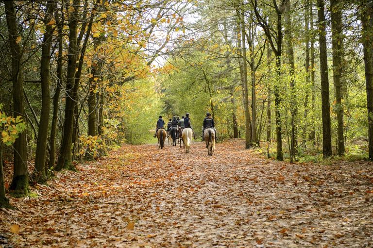 Best Group Activities in Devon