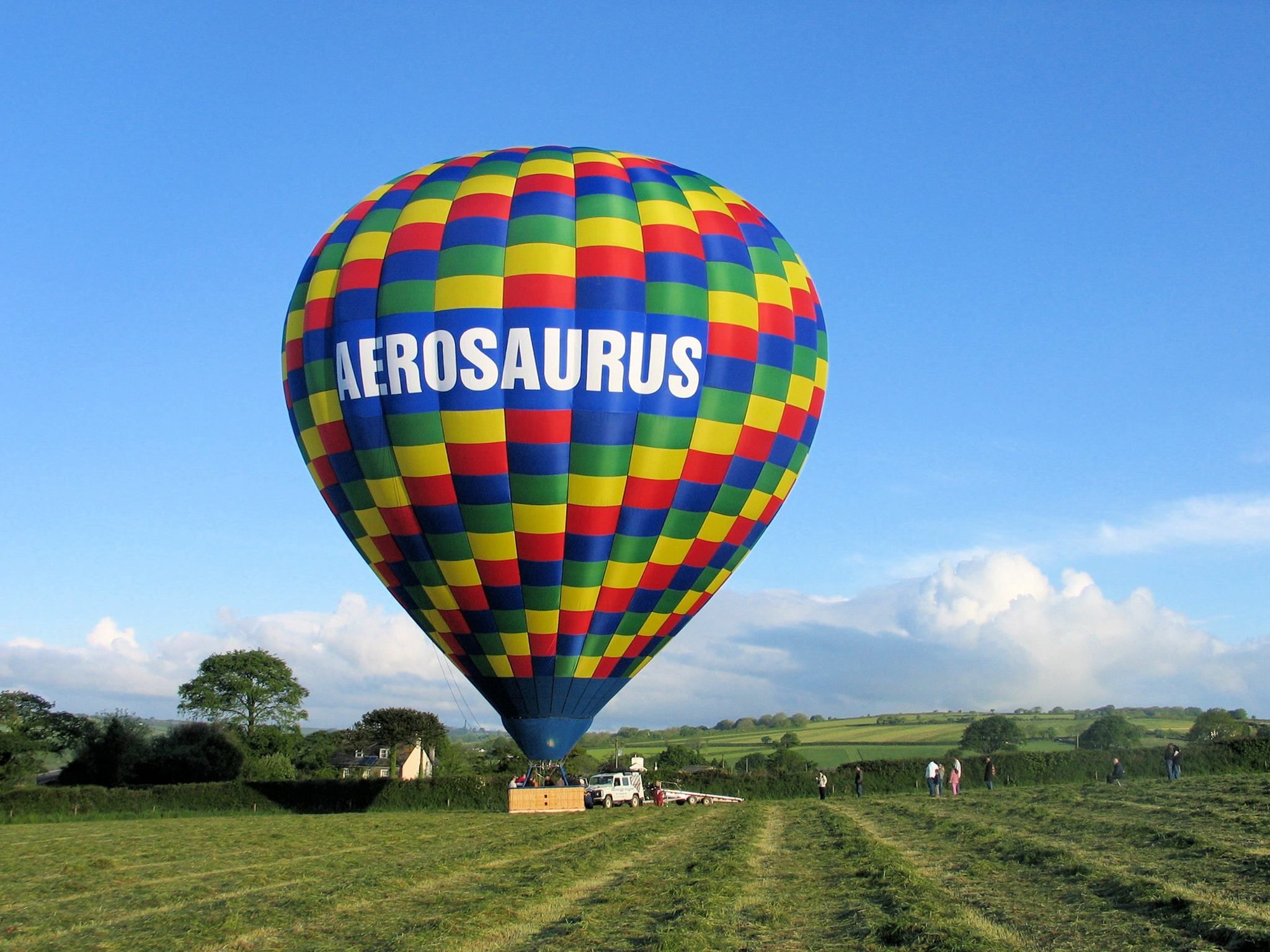 Aerosaurus Balloons - Devon