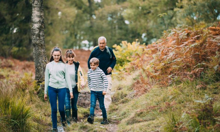 Two children are hiking with their grandparents in the woodland of the Lake District.