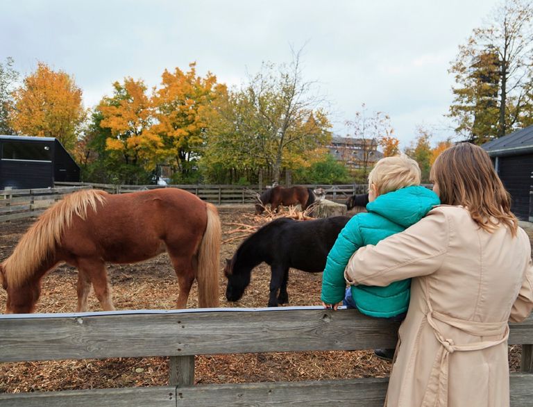 Best Kids Activities in Devon