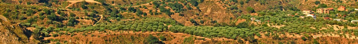 Sicily - Travel Guide 