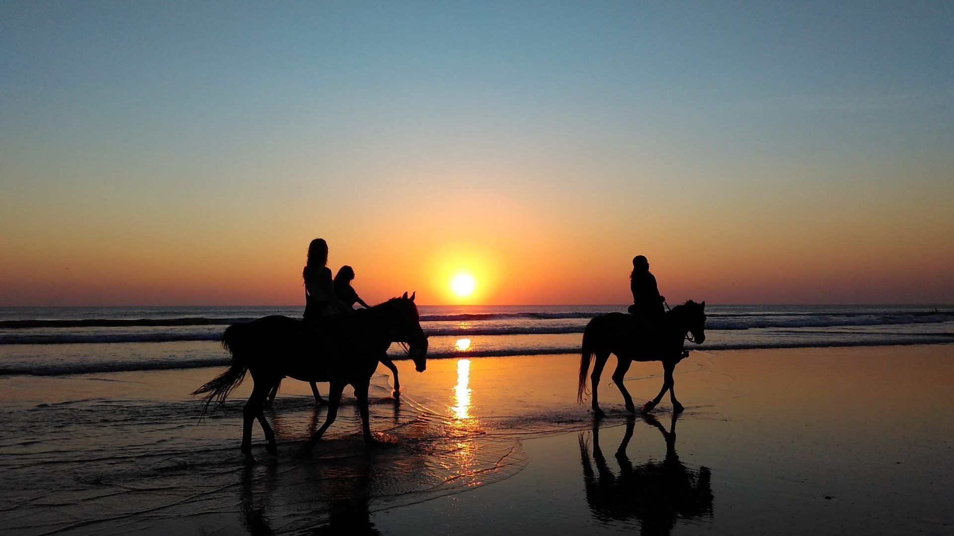 Sicily Horse Riding - Sicily