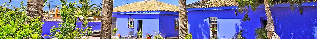 bottom banner 55
