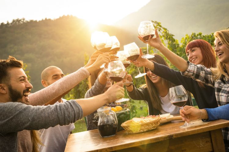 Friends toasting with wine