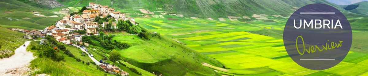 Travel Guide - overview Images - template