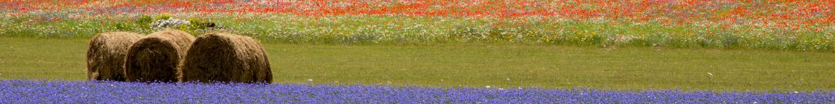Untitled design (48)