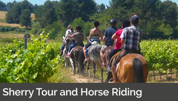 Sherry Tour with Horse Riding