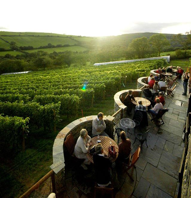 Camel Valley, Bodmin