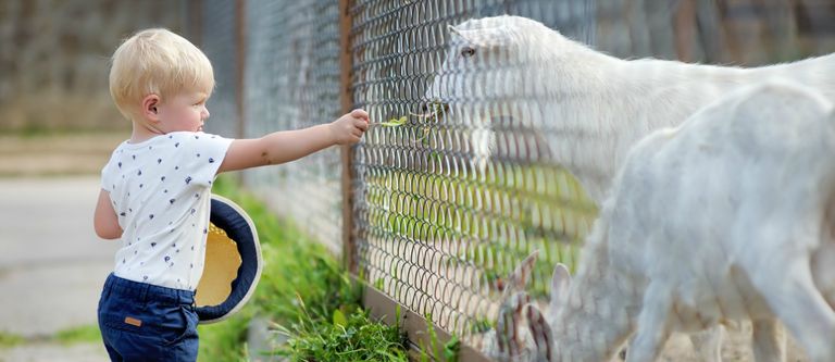 Italian Lakes Holidays: The Best Family Activities