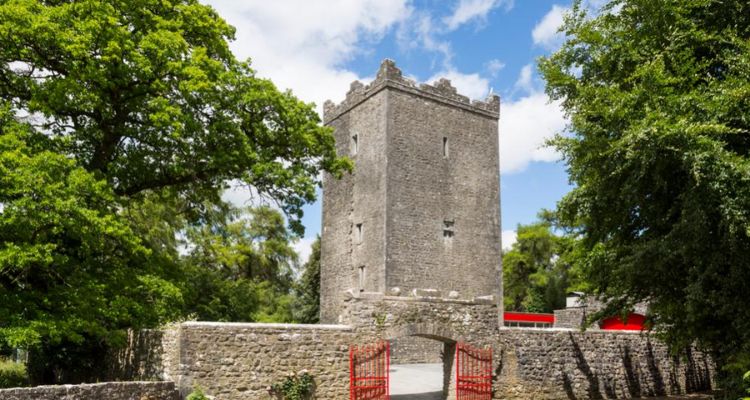 County Meath Castle - multigenerational family holidays