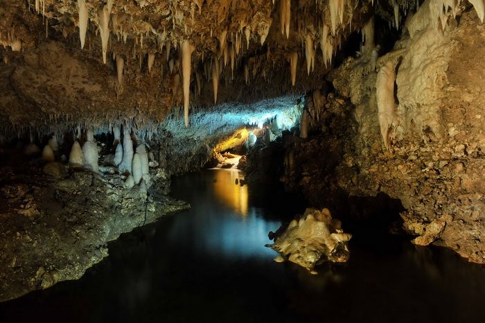 Harrisons Cave