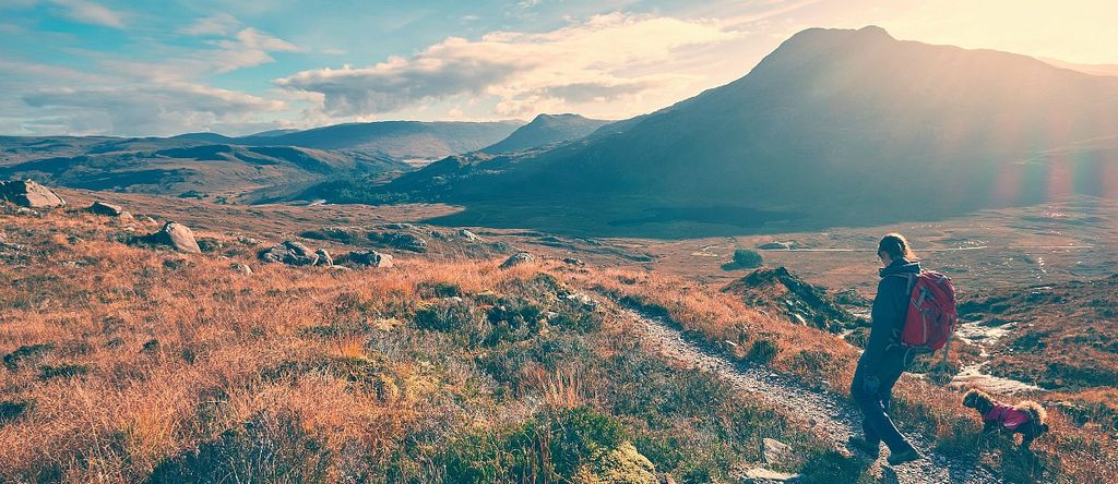 A hiker and their dog in Scottish Countryside
