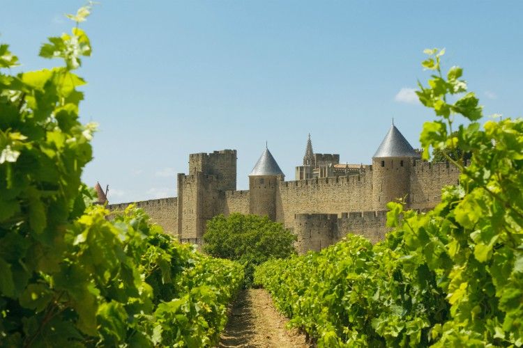 wine regions of france