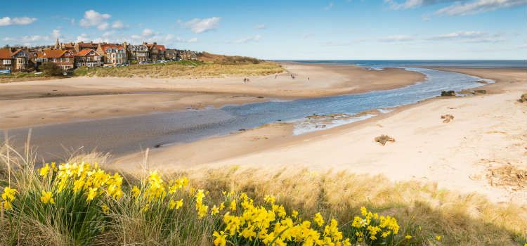 best beaches in northumberland alnmouth beach
