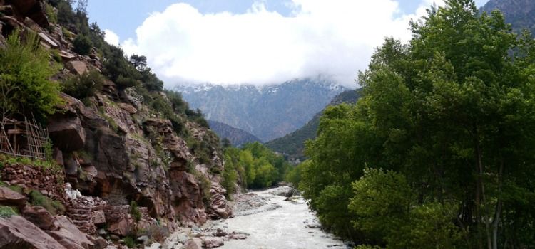 Things to do in Marrakech - Ourika Waterfalls
