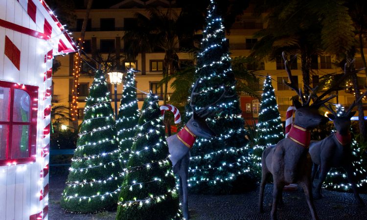 Christmas in Funchal scene