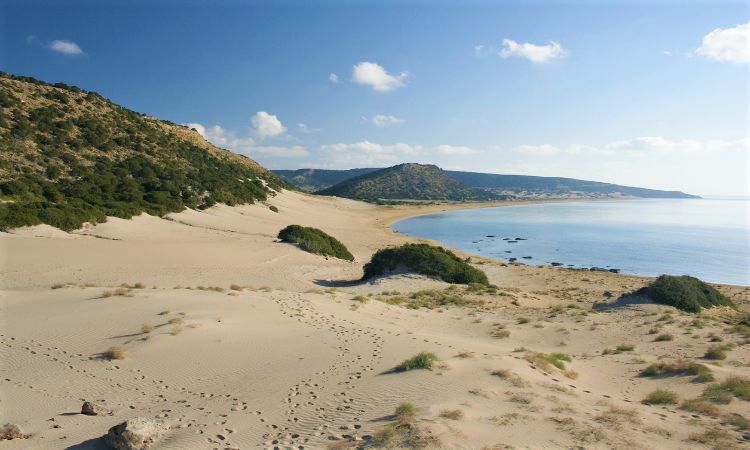 Golden Beach Cyprus