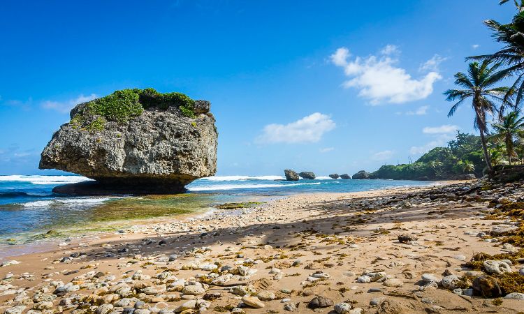Best beaches in Barbados Bathsheba Beach