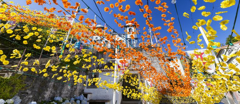 Things to Do in Madeira out of Season