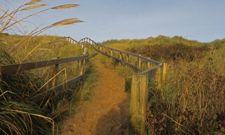 Sea Palling